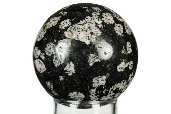 Polished Snowflake Stone Sphere - Pakistan #237786